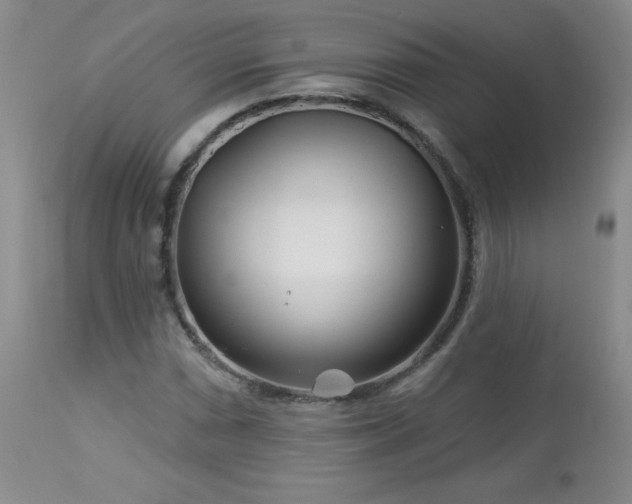 X0000113121066200908281432