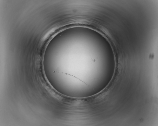 X0000113121067200908281432