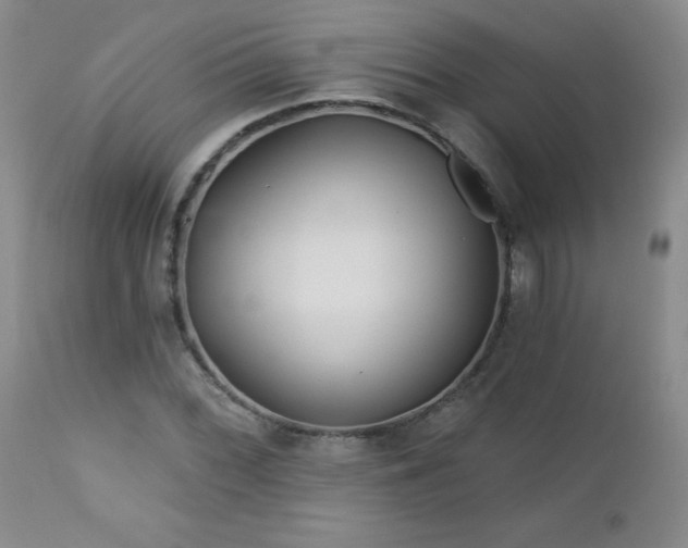 X0000113121068200908281432