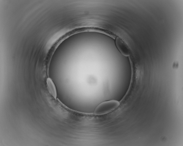 X0000113121069200908281432