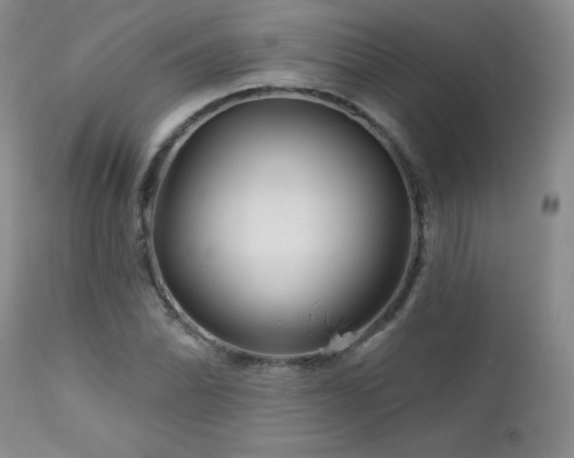 X0000113121070200908281432