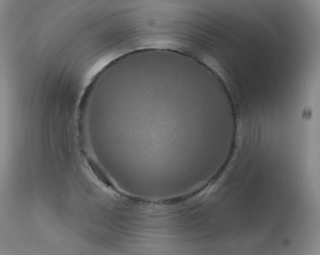 X0000113121071200908281432