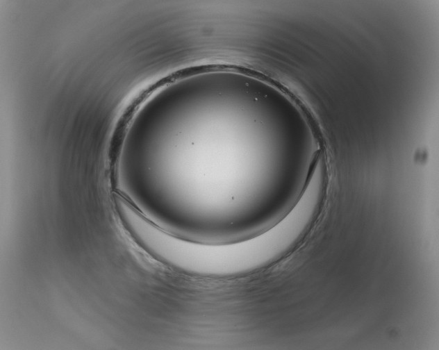 X0000113121072200908281432