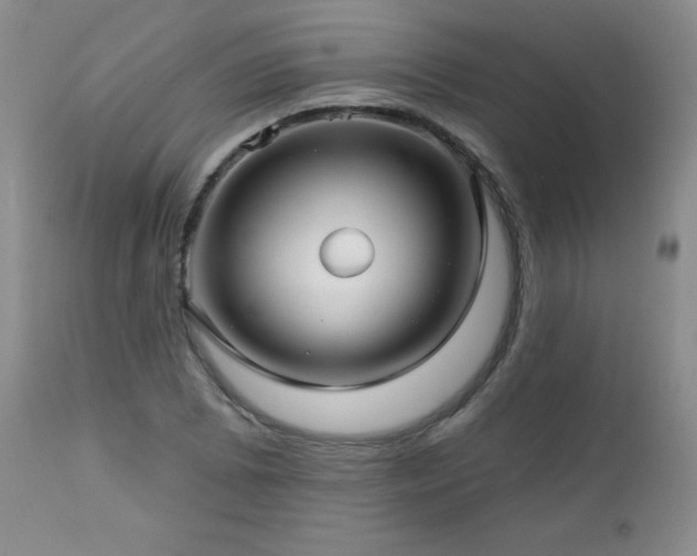 X0000113121073200908281432