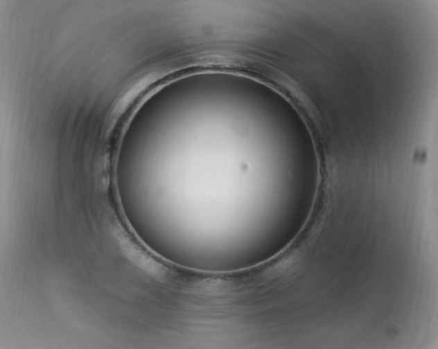 X0000113121075200908281432