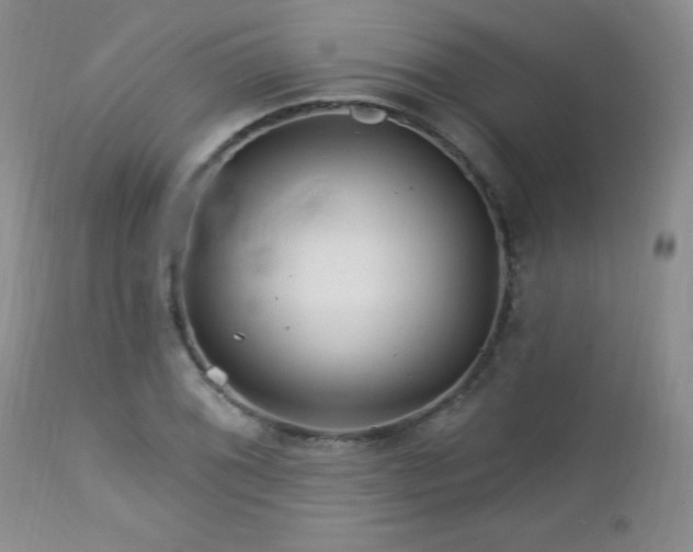 X0000113121076200908281432