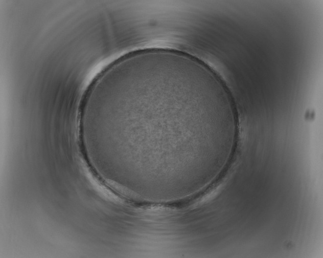 X0000113121077200908281432