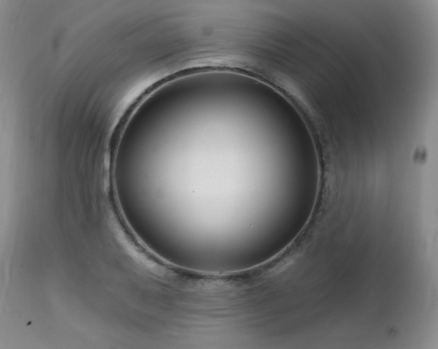 X0000113121079200908281432