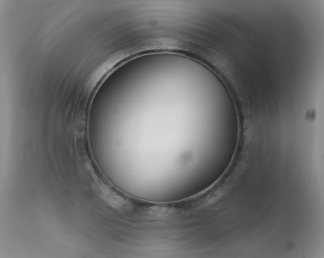 X0000113121081200908281432