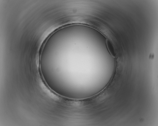 X0000113121084200908281432