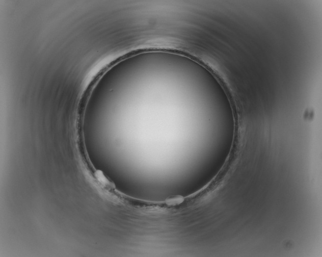 X0000113121085200908281432