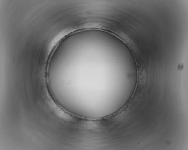 X0000113121086200908281432