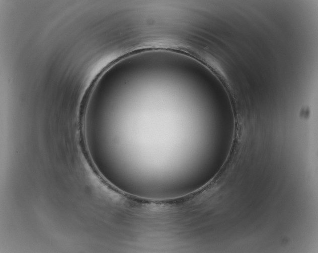 X0000113121087200908281432