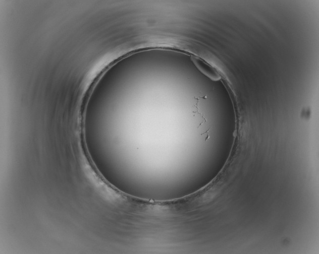 X0000113121088200908281432