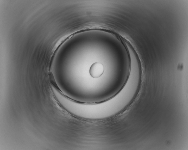 X0000113121089200908281432