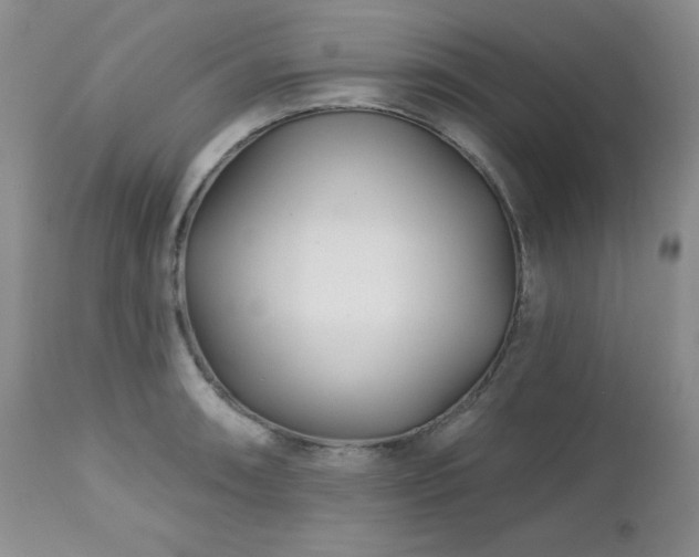 X0000113121090200908281432