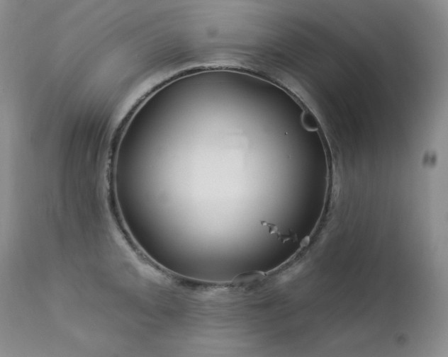 X0000113121093200908281432