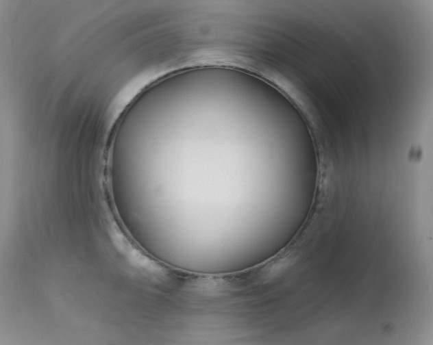 X0000113121094200908281432