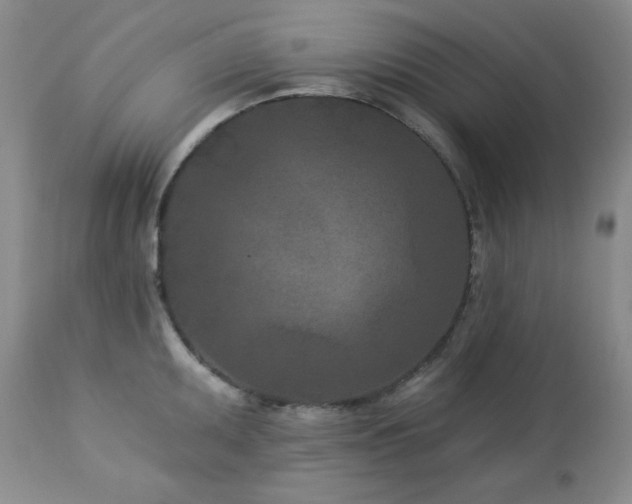 X0000113121095200908281432