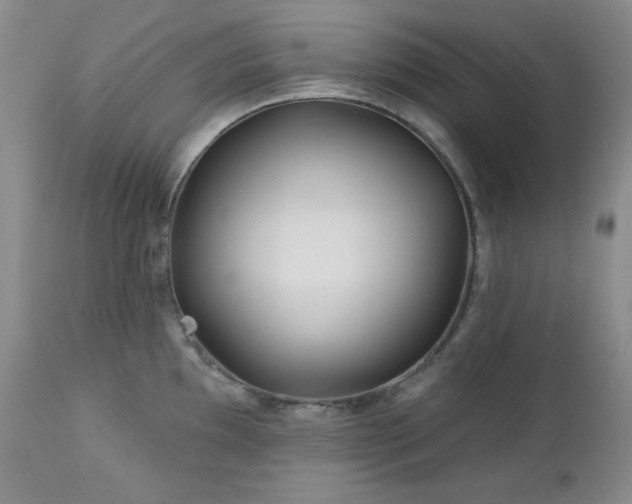 X0000113121097200908281432