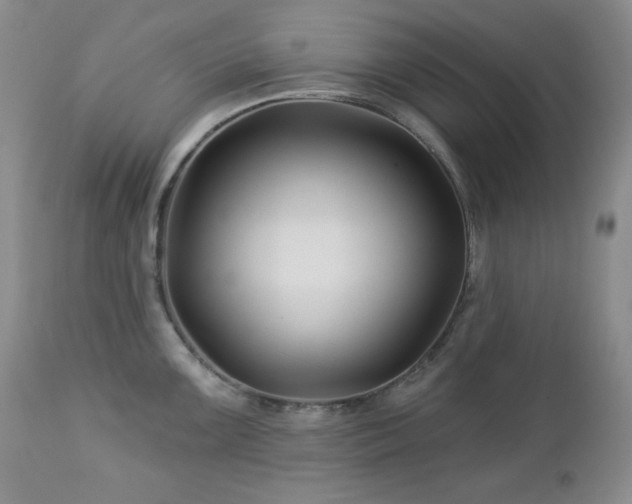 X0000113121099200908281432