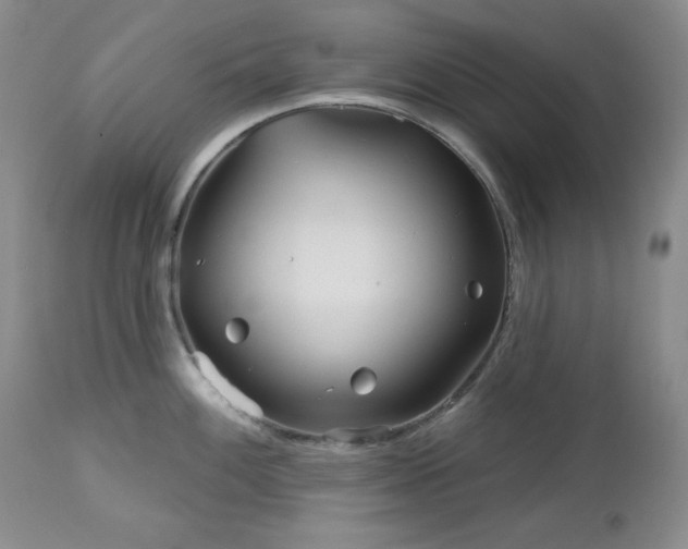 X0000113121100200908281432