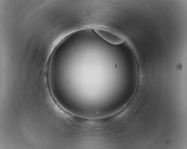 X0000113121102200908281432