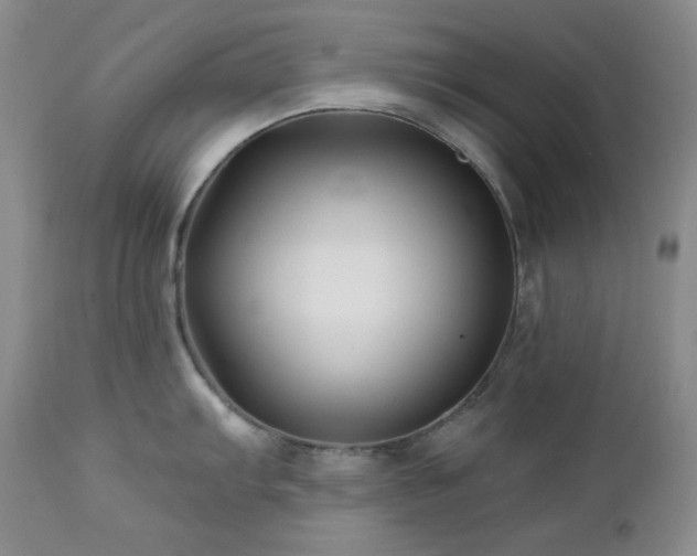 X0000113121103200908281432