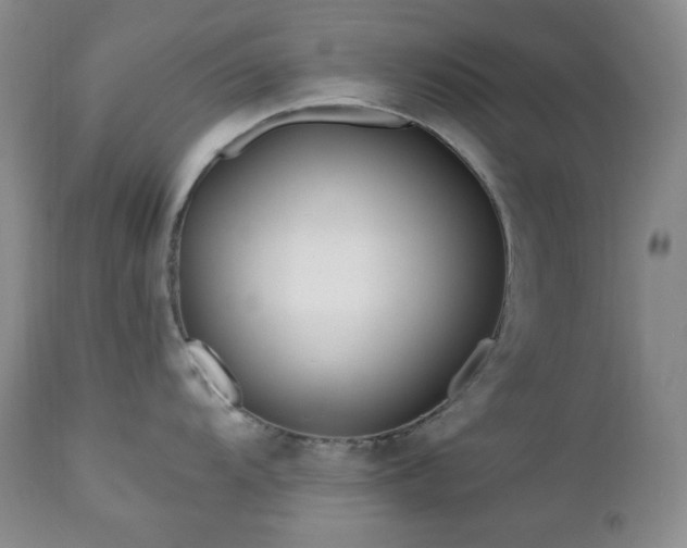 X0000113121104200908281432