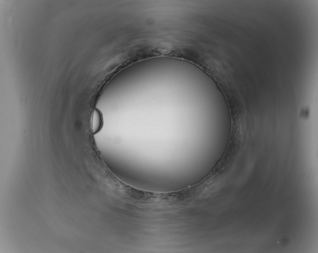 X0000113121105200908281431