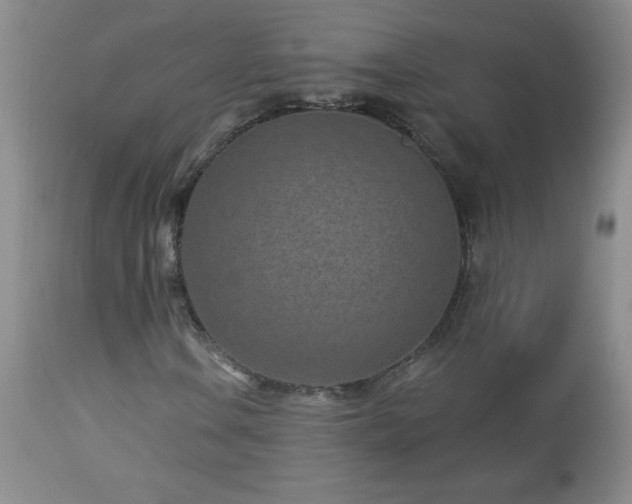 X0000113121106200908281431