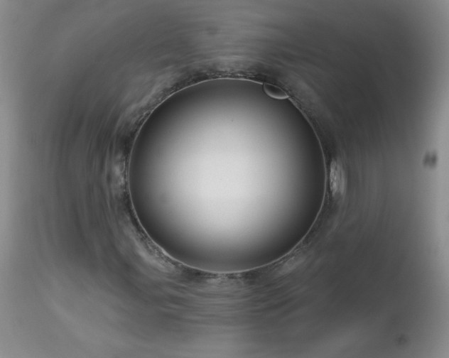 X0000113121107200908281431