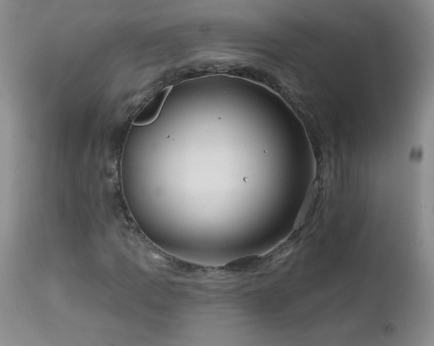 X0000113121109200908281431