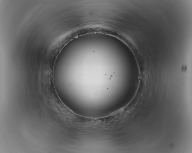 X0000113121111200908281431