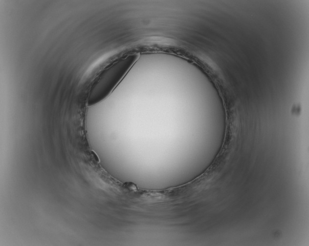 X0000113121112200908281431