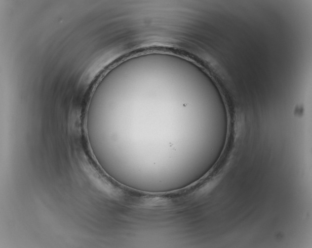 X0000113121113200908281431