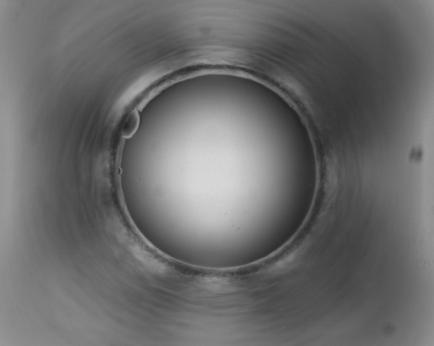 X0000113121114200908281431