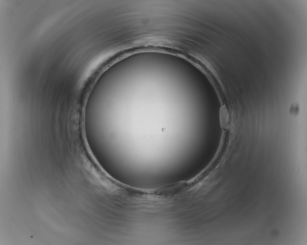 X0000113121115200908281431