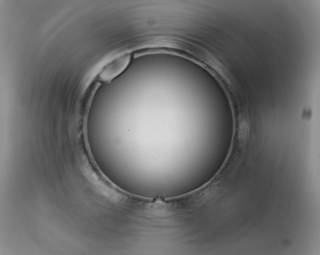 X0000113121116200908281431