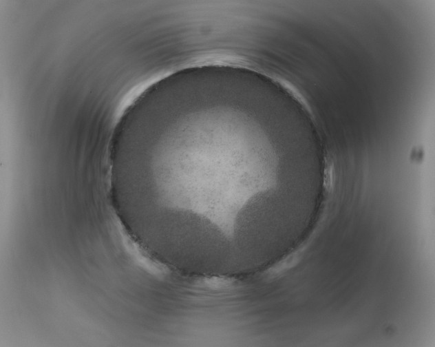 X0000113121117200908281431