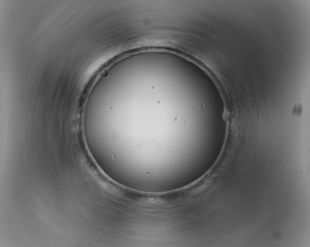 X0000113121119200908281431