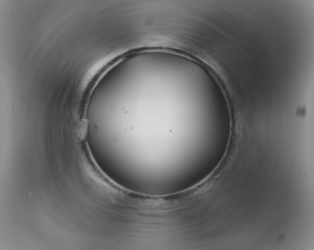 X0000113121120200908281431