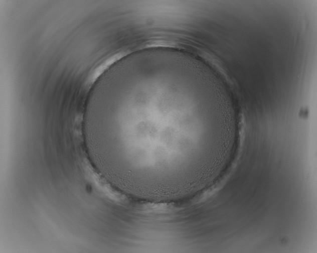 X0000113121121200908281431