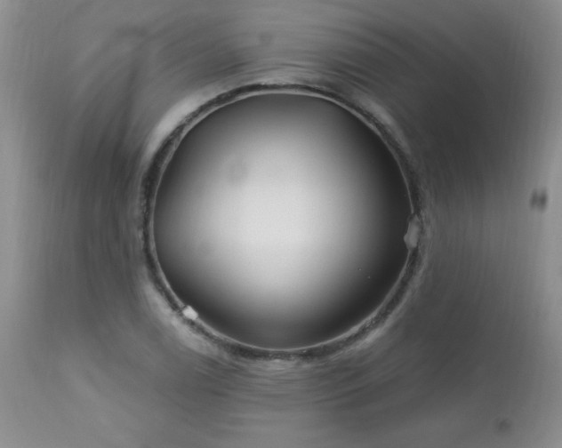 X0000113121122200908281431