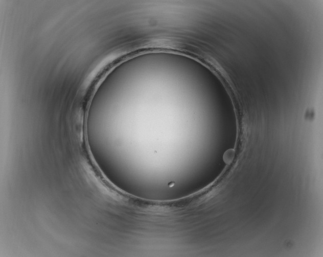 X0000113121123200908281431