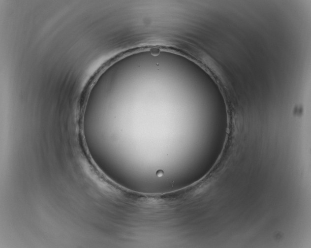 X0000113121124200908281431