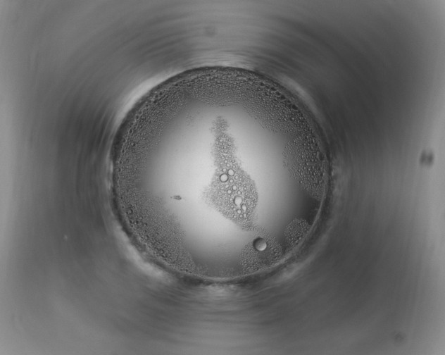 X0000113121125200908281431