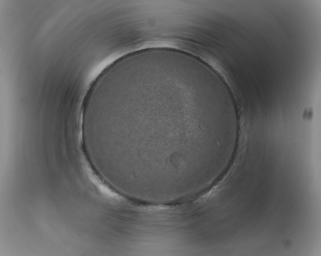 X0000113121127200908281431