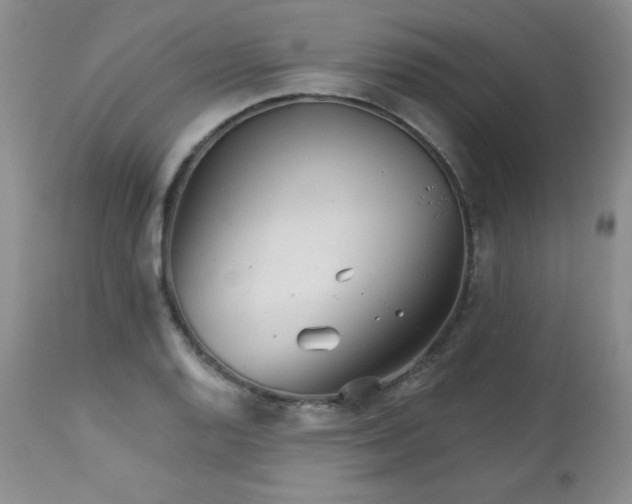 X0000113121128200908281431