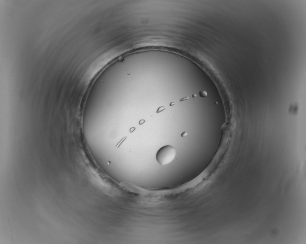 X0000113121129200908281431